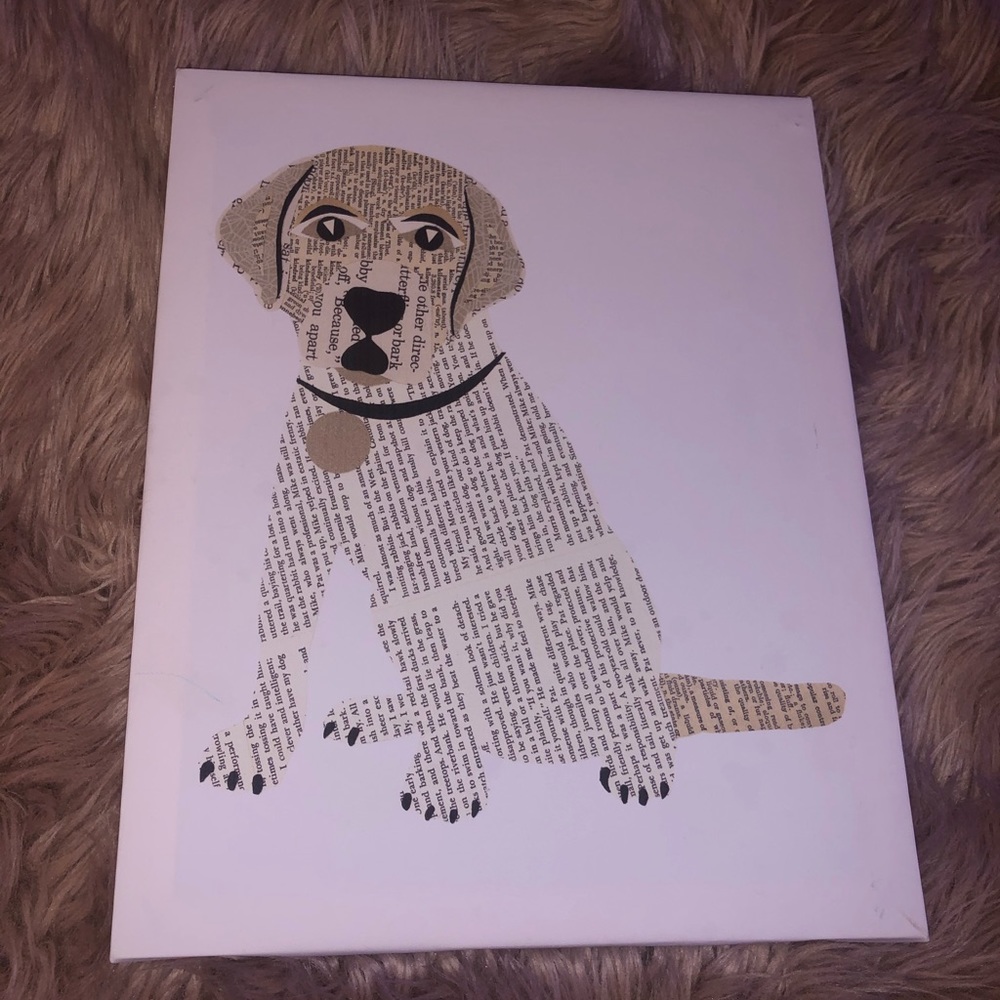 newspaper dog picture